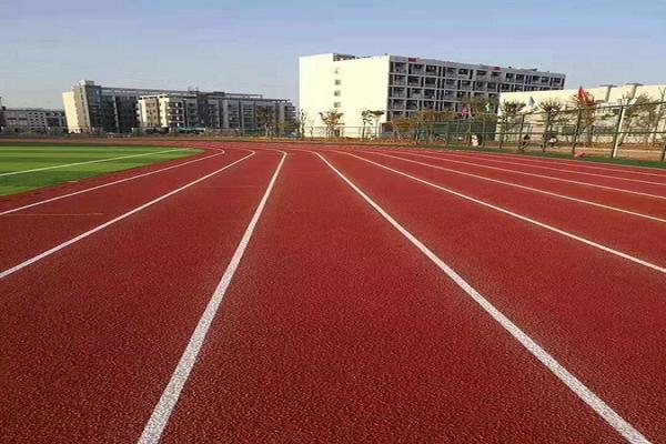 萝莉社在线播放籃球場